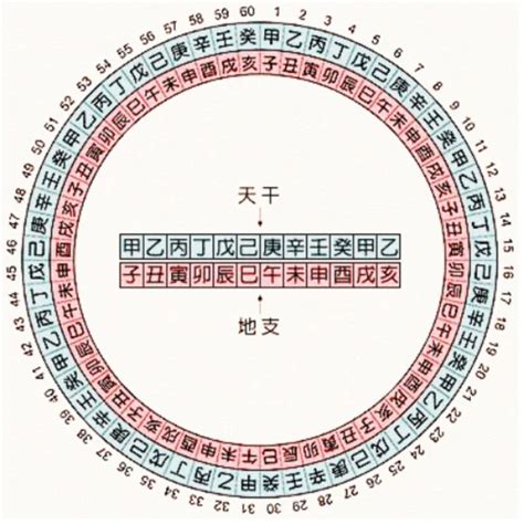 2001年天干地支|天干地支对照表